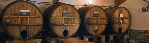 Wijn uit Navarra kopen - online webshop