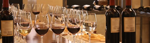 Wijn uit Toro kopen - online webshop